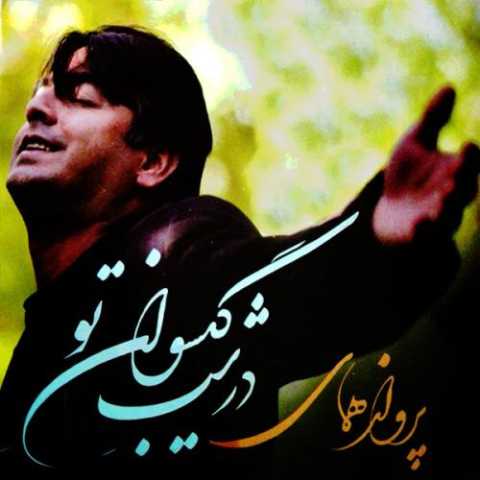 دانلود آهنگ پرواز همای شبان آهسته میگریم دانلود آهنگ پرواز همای شبان آهسته میگریم