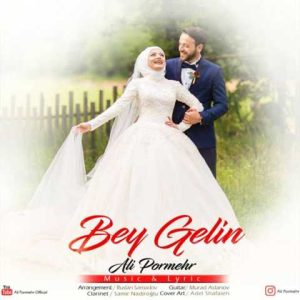 دانلود آهنگ ترکی علی پرمهر  بی گلین