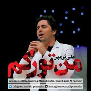 دانلود آهنگ ترکی علی پرمهر من تورکم