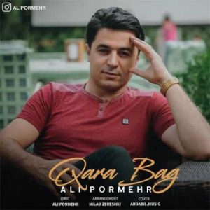 دانلود آهنگ ترکی علی پرمهر قره باغ 