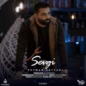 دانلود آهنگ ترکی پیمان کیوانی سئوگی