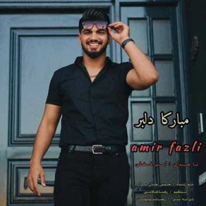 دانلود آهنگ مازندرانی امیر فضلی مبارکا دلبر