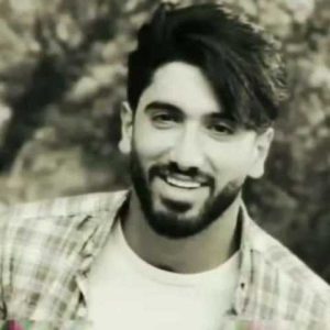 دانلود آهنگ مازندرانی جواد عباسی پرستوی سفید من کجایی