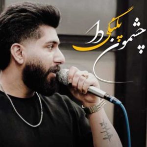 دانلود آهنگ مازندرانی مجید احمدی بوق به بوقه دلبر