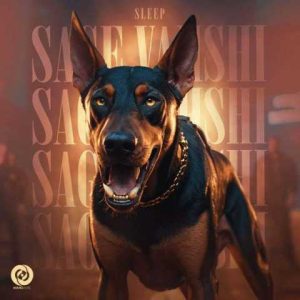 دانلود آهنگ اثلیپ سگ وحشی