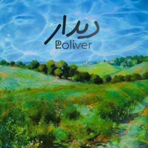 دانلود آهنگ گروه پلیور دیدار