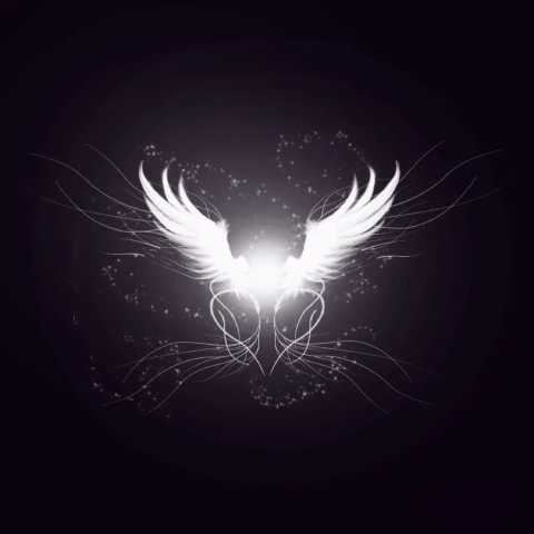 دانلود آهنگ آرمین فراتر از درد دانلود آهنگ آرمین فراتر از درد