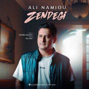 دانلود آهنگ علی نامجو زندگی